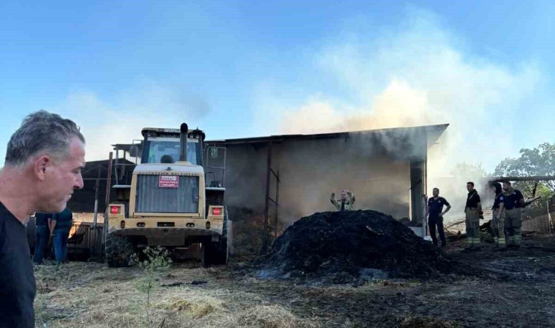 Bursa’nın Karacabey ilçesinde bir çiftlikte meydana gelen yangında 4 büyükbaş