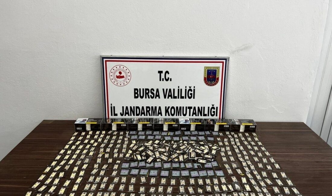Bursa’da jandarma ekipleri tarafından düzenlenen operasyonda kaçak tütün ve tütün