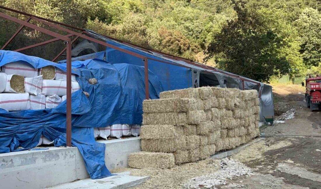 Bursa’nın Orhaneli ilçesinde, Gökçeören mevkiinde bir ahırda başlayan yangın kontrol