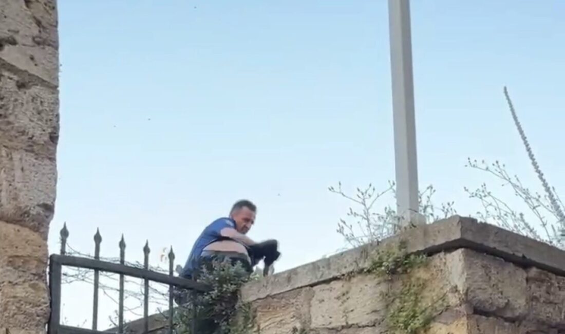 Bursa’nın merkez Osmangazi ilçesine bağlı Kavaklı Mahallesi’nde, tarihi Tophane surlarına