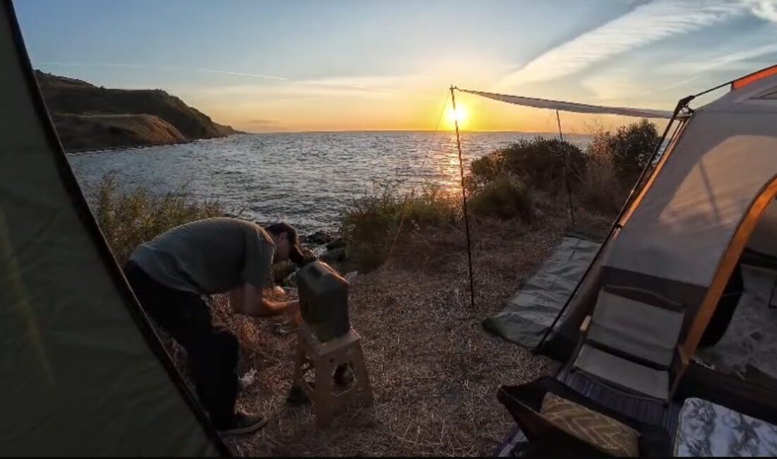 Mudanya ilçesinde bulunan sahil kamp alanına giren bir çakal, kamp