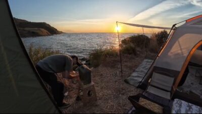 Mudanya ilçesinde bulunan sahil kamp alanına giren bir çakal, kamp