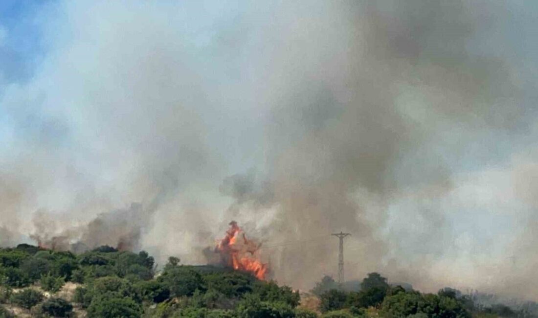Çanakkale’de, bozulmuş ormanlık alanda meydana gelen yangına Orman Bölge Müdürlüğü