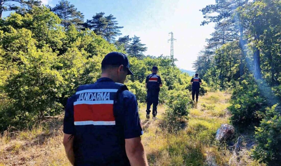 Çanakkale’de, jandarma ekipleri orman yangınlarıyla mücadele kapsamında sahada denetimlerini sıkı