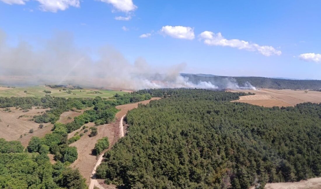Çanakkale’nin Eceabat ilçesinde bugün sabah saatlerinde meydana gelen bir yangın,