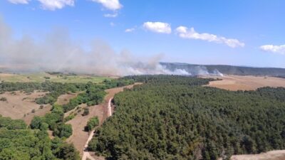Çanakkale’nin Eceabat ilçesinde bugün sabah saatlerinde meydana gelen bir yangın,