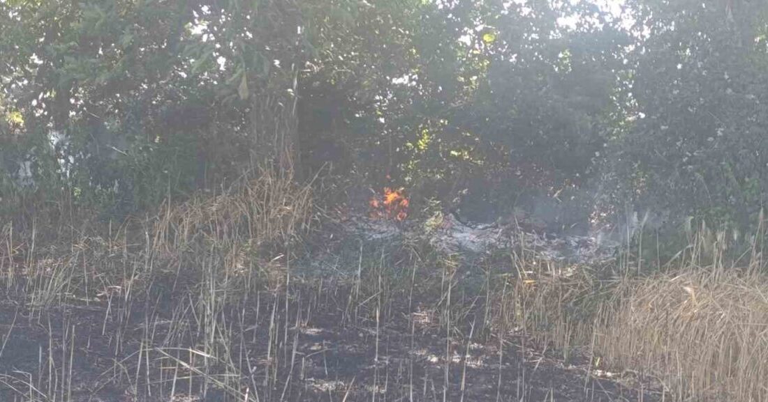 Çanakkale’nin Çan ilçesine bağlı Helvacı köyünde, ekili arazide meydana gelen