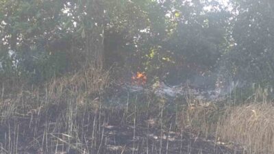 Çanakkale’nin Çan ilçesine bağlı Helvacı köyünde, ekili arazide meydana gelen