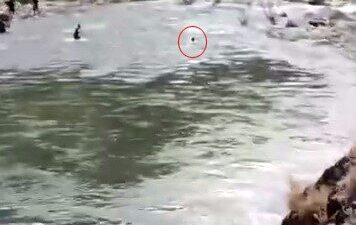 Bingöl’ün Genç ilçesine bağlı Sarım Çayı’nda boğularak kaybolan Vedat Karabulut’un