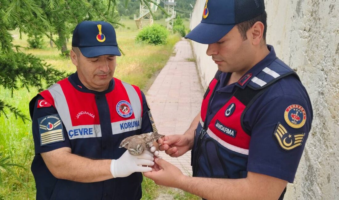 Yozgat İl Jandarma Komutanlığı Çevre, Doğa ve Hayvanları Koruma Timi