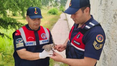 Yozgat İl Jandarma Komutanlığı Çevre, Doğa ve Hayvanları Koruma Timi
