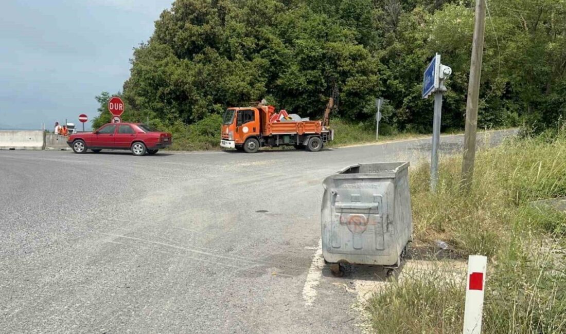 Alaplı ilçesinde geçen yıl meydana gelen olayda, yol kenarına atılmış