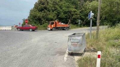 Alaplı ilçesinde geçen yıl meydana gelen olayda, yol kenarına atılmış