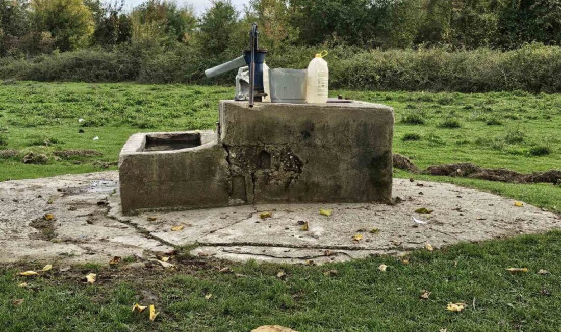 Zonguldak’ın Çaycuma ilçesinde, 17 yaşındaki Hasret Akkuzu’nun su kuyusunda hayatını