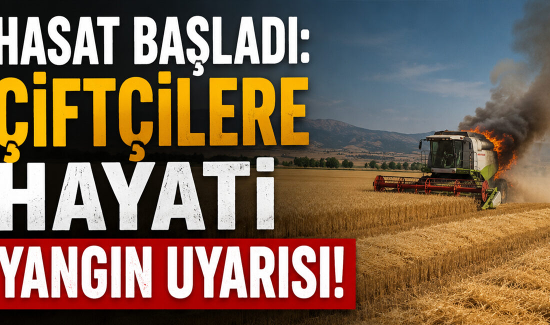 Yaz mevsiminin gelmesiyle birlikte tarım bölgelerinde hasat sezonu resmen başladı.