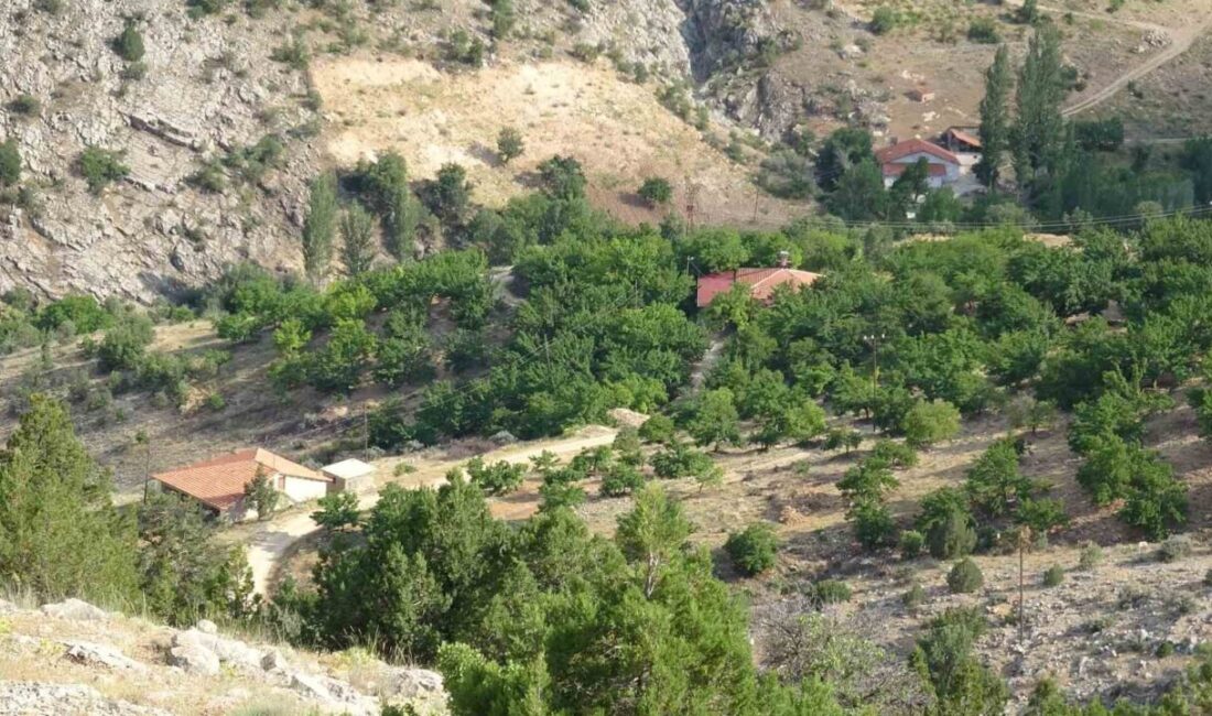 Malatya ilinde 19 Mart tarihinden bu yana kayıp olan ve