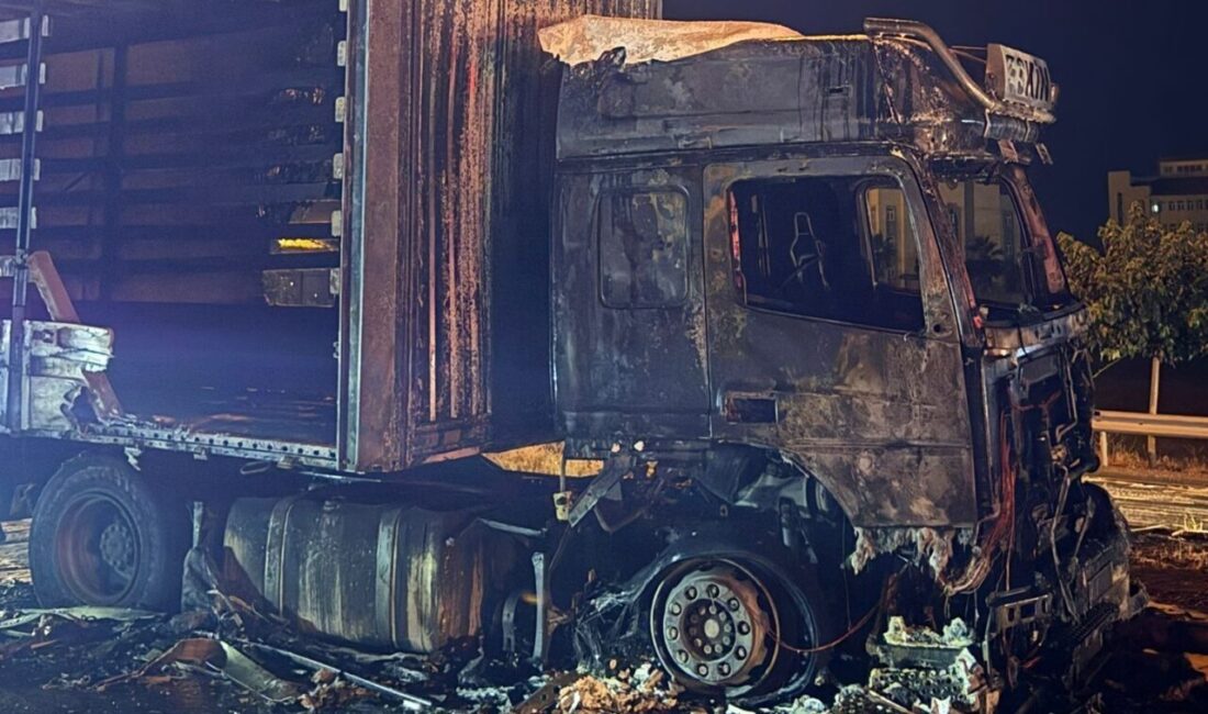Şırnak’ın Cizre ilçesinde bir tır, seyir halindeyken motor kısmından yükselen