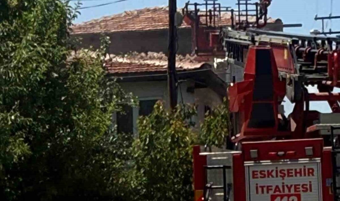 Eskişehir Sivrihisar ilçesinde, bir çocuğun ateşle oynaması sonucu çıkan yangında