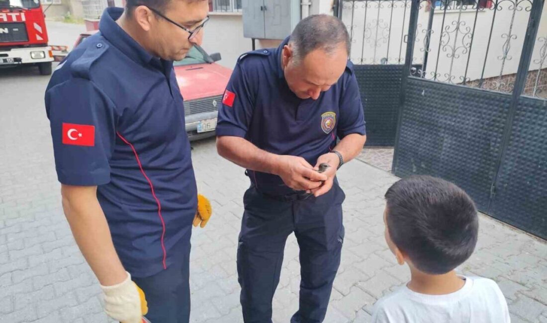 Çorum’un Sungurlu ilçesinde, bir apartmanın çatısının kenarına sıkışan bir kuş,