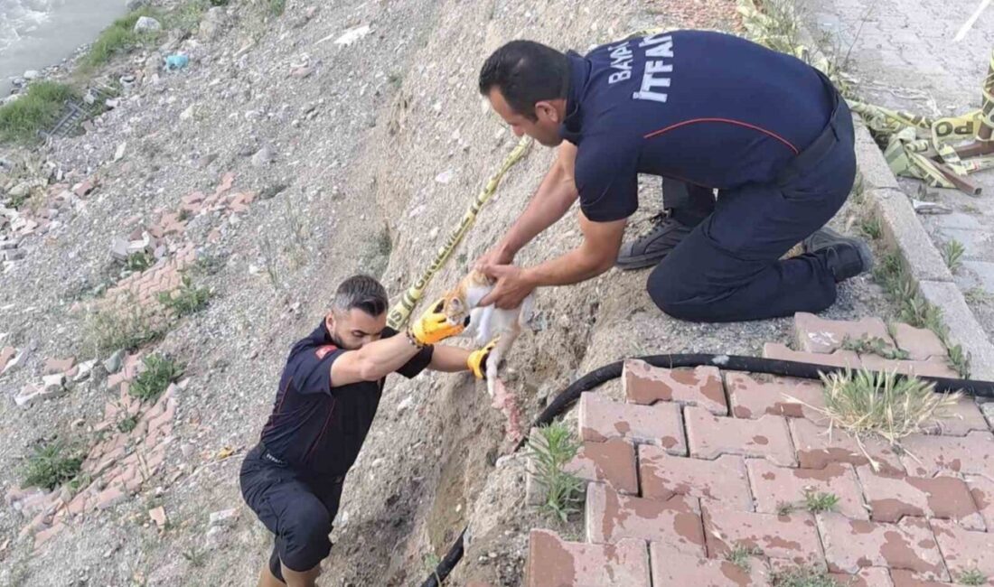 Çorum’un Bayat ilçesinde, Bayat Çayı kenarındaki 6 metrelik istinat duvarından