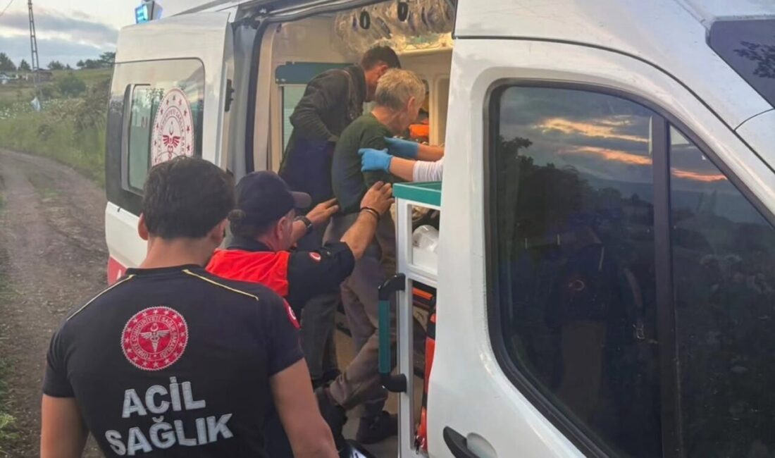 Osmancık ilçesine bağlı Çampınar köyünde yaşayan 72 yaşındaki Gülistan Y.,