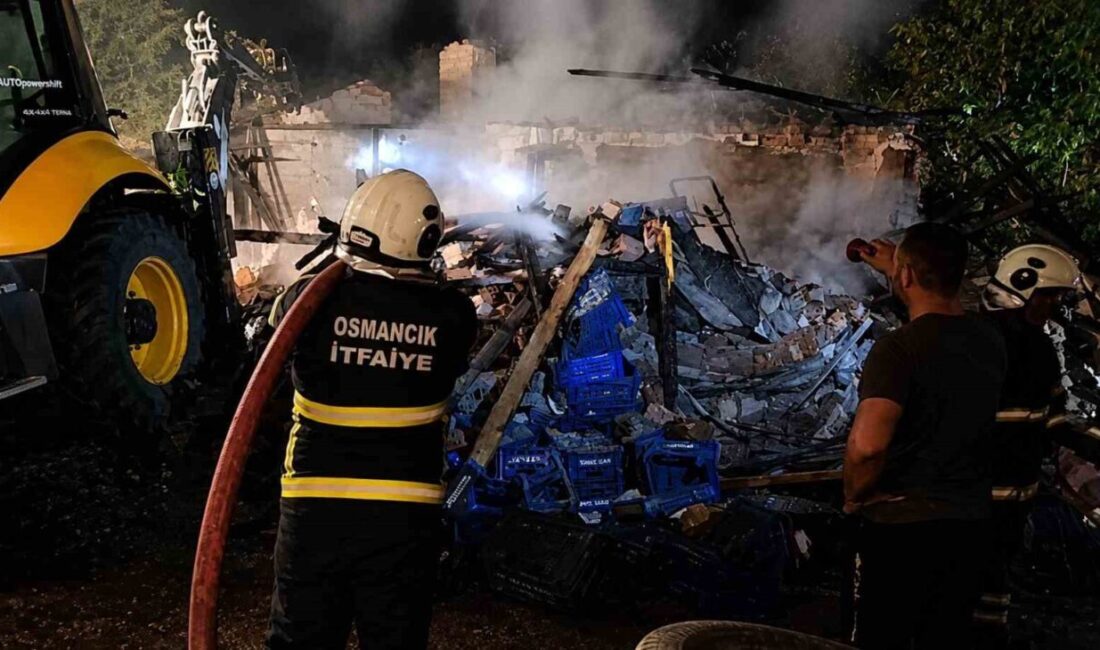 Osmancık ilçesine bağlı Koyunbaba Mahallesi Kaleli Hoca Sokak’ta bulunan tek