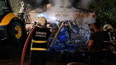 Osmancık ilçesine bağlı Koyunbaba Mahallesi Kaleli Hoca Sokak’ta bulunan tek