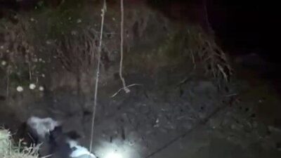 Edirne’nin Budakdoğanca köyünde bir inek, çukura düşmesinin ardından itfaiye ekipleri