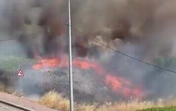 Kocaeli’nin Darıca ilçesinde boş bir arazide meydana gelen yangın vatandaşlarda