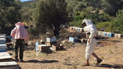 Muğla’nın Datça ilçesinde arıcılara ait konaklama alanında çıkan yangın, ekiplerin
