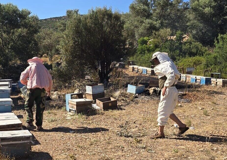 Muğla’nın Datça ilçesinde arıcılara ait konaklama alanında çıkan yangın, ekiplerin