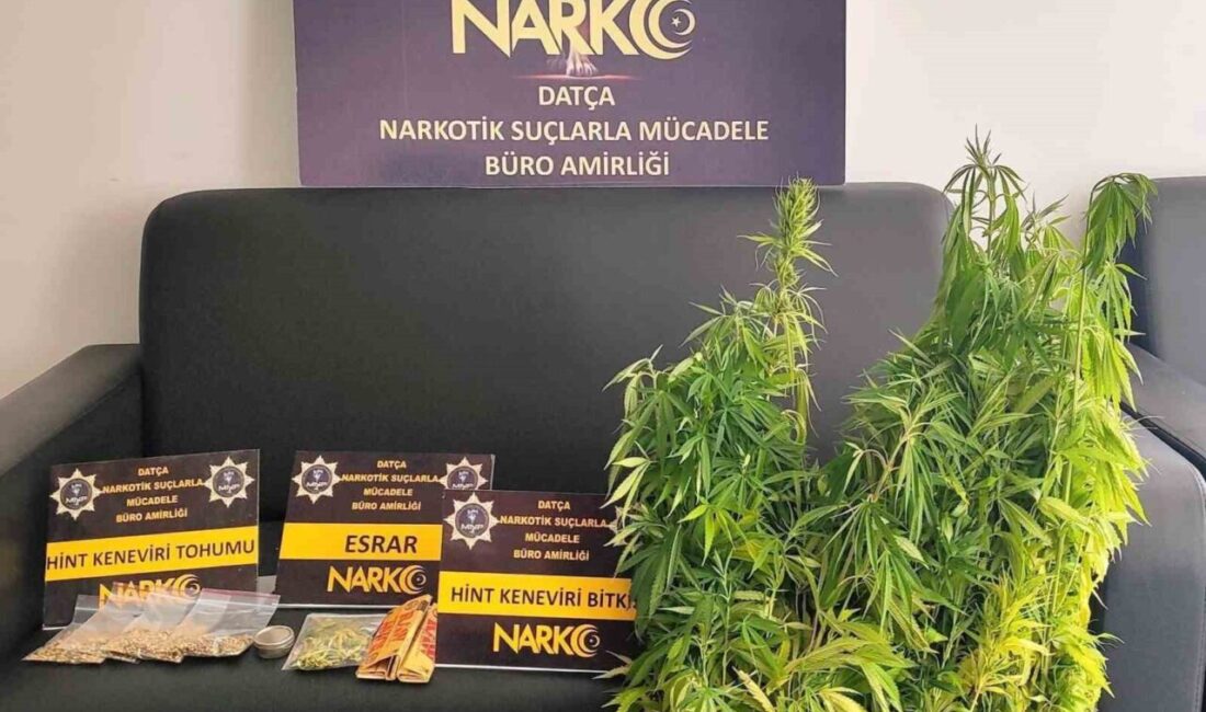 Muğla’nın Datça ilçesinde narkotik ekipleri tarafından gerçekleştirilen operasyonda 1 şüphelinin