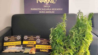 Muğla’nın Datça ilçesinde narkotik ekipleri tarafından gerçekleştirilen operasyonda 1 şüphelinin