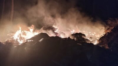Hatay’ın Defne ilçesinde, Değirmenboyu Mahallesi’nde bulunan otluk çöplük alanda çıkan
