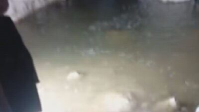 Hatay’da bir çocuk, Antakya ilçesine bağlı Hacı Ömer Alpagot Mahallesi’nde