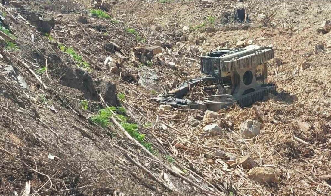 Antalya’nın Gazipaşa ilçesinde orman kesim sahasında meydana gelen bir iş