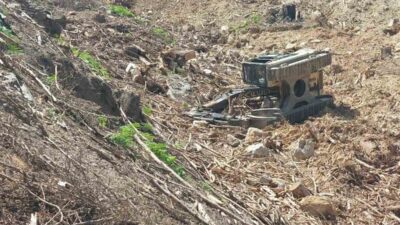 Antalya’nın Gazipaşa ilçesinde orman kesim sahasında meydana gelen bir iş