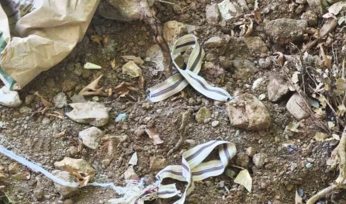 Antalya’nın Gazipaşa ilçesinde devriye gezen jandarma ekipleri, rutin görevleri sırasında