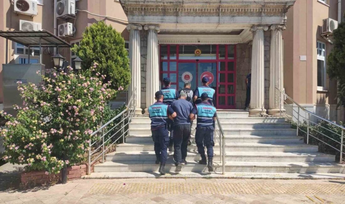 Didim ilçesinde Jandarma ekipleri tarafından yürütülen operasyonda 16 düzensiz göçmen