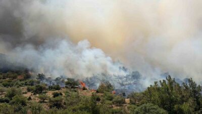 İzmir’in Dikili ilçesine bağlı Yaylayurt Mahallesi’nde çıkan yangın, rüzgarın etkisiyle