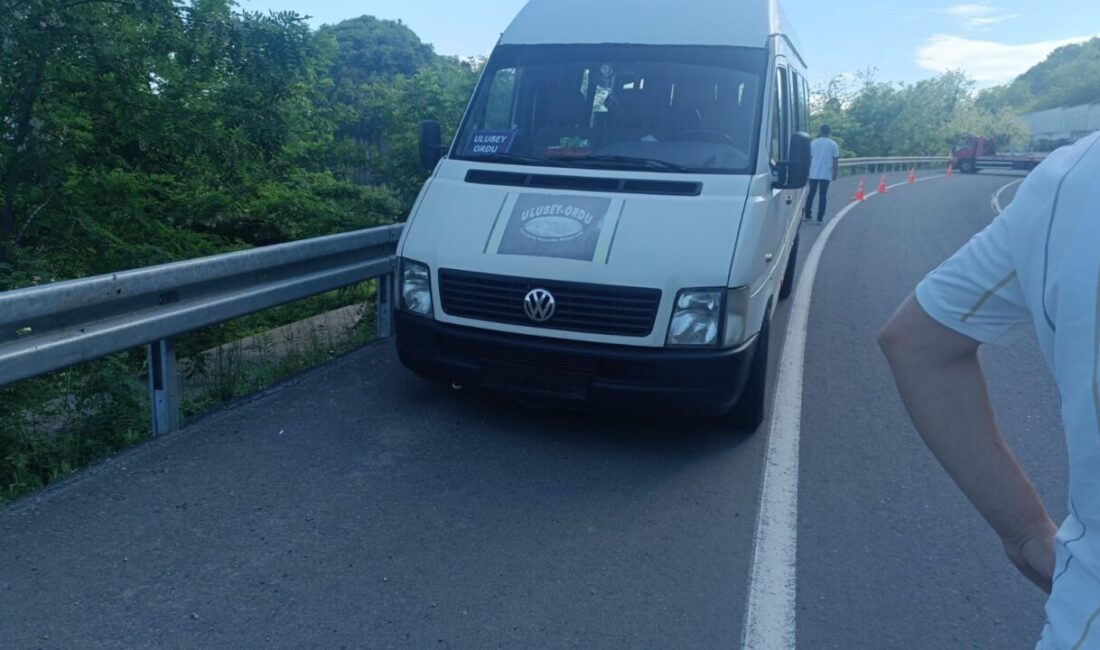 Ordu’nun Ulubey ilçesinde bir dolmuş şoförü, seyir halindeyken aniden kalp