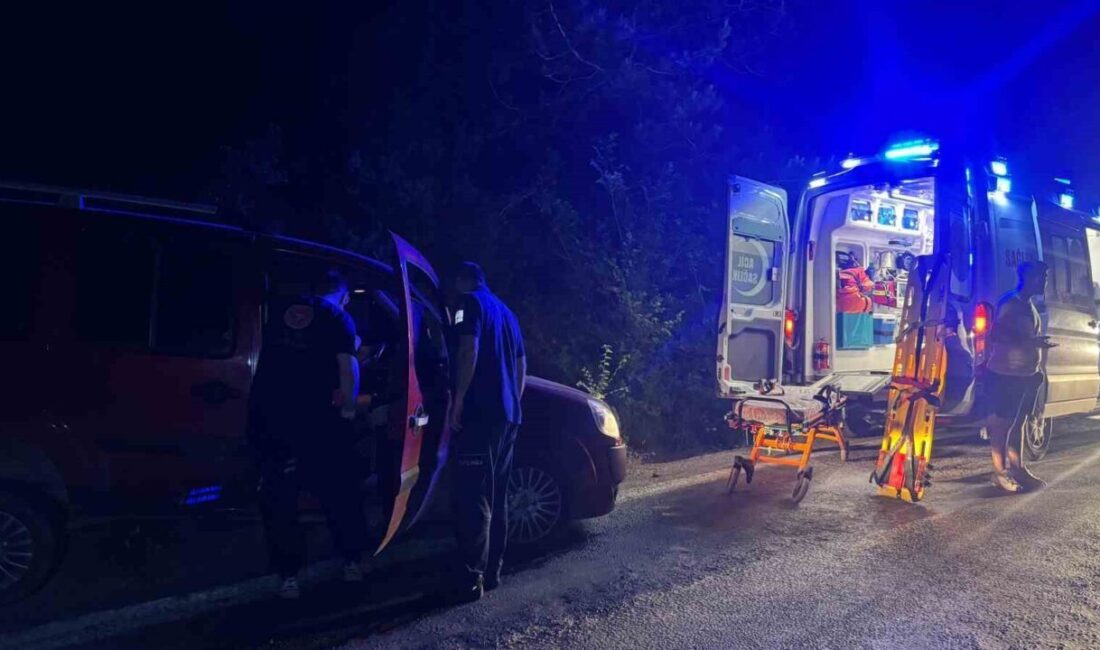 Alaplı ilçesinde bir sürücünün direksiyon başında uyuyakalması sonucu uyuşturucu madde