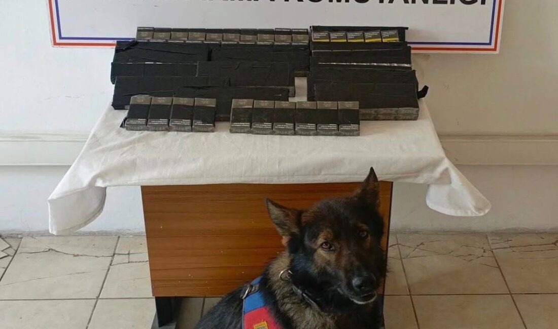 Diyadin ilçesinde kaçakçılıkla mücadele kapsamında gerçekleştirilen denetimlerde 180 paket gümrük