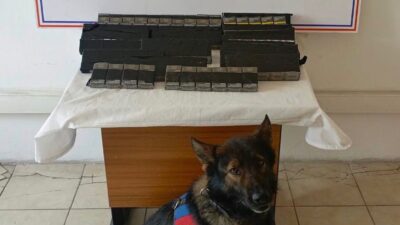 Diyadin ilçesinde kaçakçılıkla mücadele kapsamında gerçekleştirilen denetimlerde 180 paket gümrük