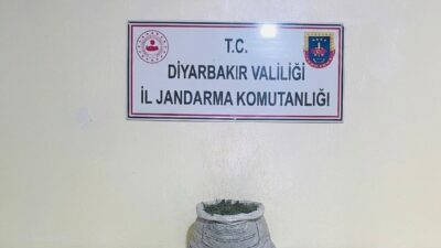 Diyarbakır’da gerçekleştirilen operasyonlarda toplamda 19 kilo 800 gram esrar maddesi