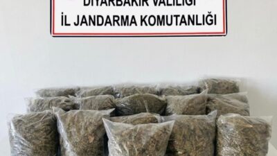 Diyarbakır’da Jandarma ekipleri tarafından yürütülen operasyonlarda 38.5 kilogram esrar ele