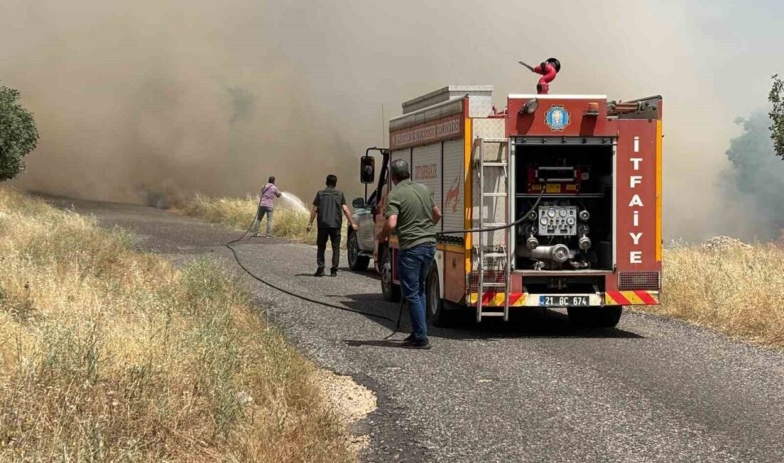 Diyarbakır’ın Eğil ilçesinde buğday tarlasında yangın çıktı ve alevler rüzgarın