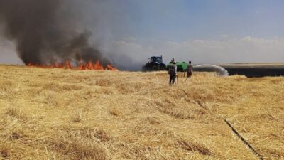 Diyarbakır’da hasat edilmiş bir tarla alanında bilinmeyen bir sebepten dolayı