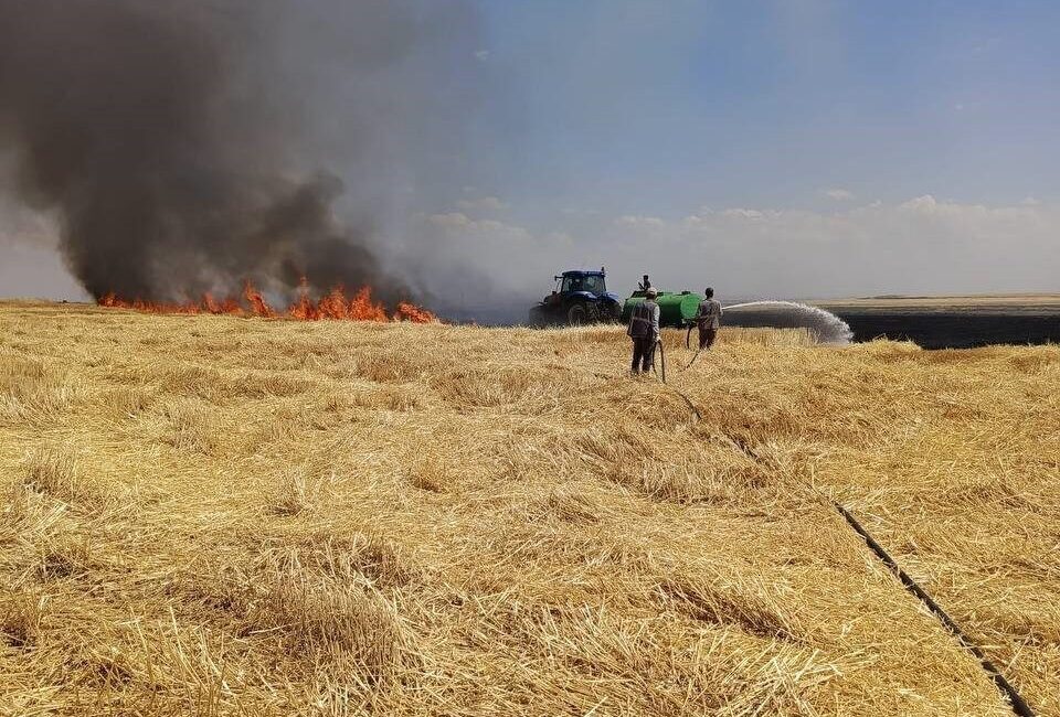 Diyarbakır’da hasat edilmiş bir tarla alanında bilinmeyen bir sebepten dolayı