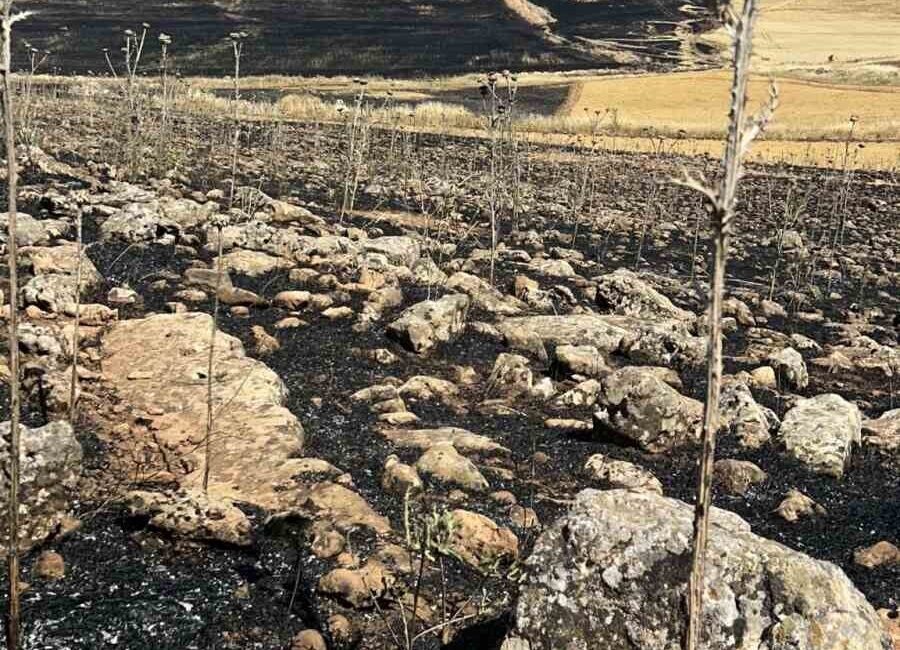 Çınar ilçesinde meydana gelen yangın sonucunda yüzlerce dönüm ekili arazi